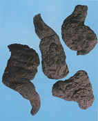 Chinese Fox-Glove Root Extract 5:1