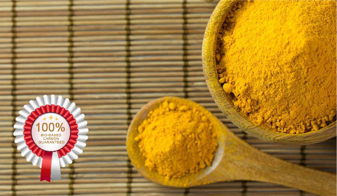Turmeric Powder Extract from Cactus Botanics