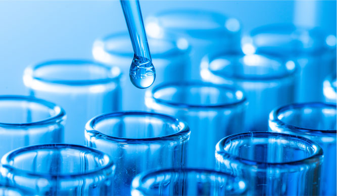 Cactus Botanics Expands Inventories