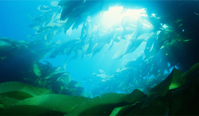 New Year, New Products!