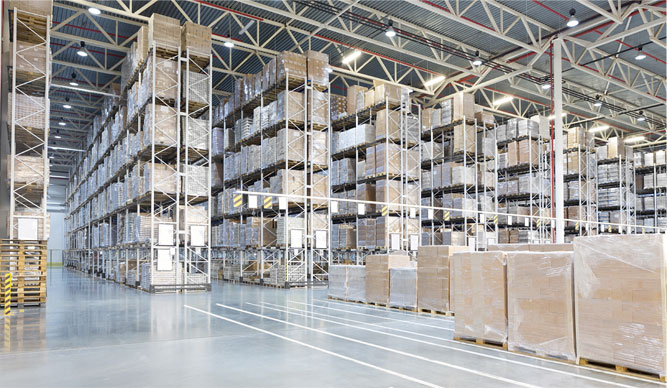 Good News: Expanded Inventories for Cactus Botanics